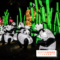 Festival de Lumières au Jardin des Plantes : pandas