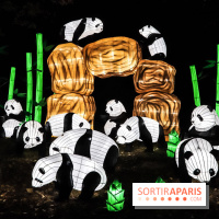 Festival de Lumières au Jardin des Plantes : Espèces en voie d’illumination