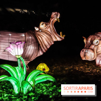 Festival de Lumières au Jardin des Plantes : Espèces en voie d’illumination
