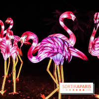 Festival de Lumières au Jardin des Plantes : Espèces en voie d’illumination