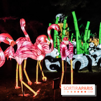 Festival de Lumières au Jardin des Plantes : Espèces en voie d’illumination