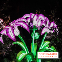 Festival de Lumières au Jardin des Plantes : Espèces en voie d’illumination