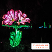 Festival de Lumières au Jardin des Plantes : Espèces en voie d’illumination