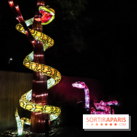Festival de Lumières au Jardin des Plantes : Espèces en voie d’illumination