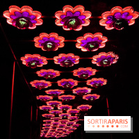 Festival de Lumières au Jardin des Plantes : Espèces en voie d’illumination