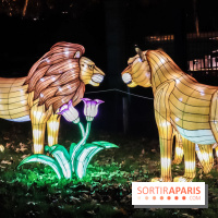 Festival de Lumières au Jardin des Plantes : Espèces en voie d’illumination