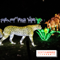 Festival de Lumières au Jardin des Plantes : Espèces en voie d’illumination