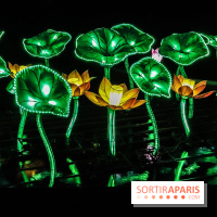 Festival de Lumières au Jardin des Plantes : Espèces en voie d’illumination