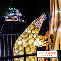 Festival de Lumières au Jardin des Plantes : Espèces en voie d’illumination