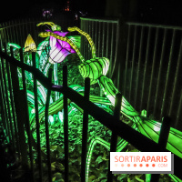 Festival de Lumières au Jardin des Plantes : Espèces en voie d’illumination