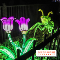 Festival de Lumières au Jardin des Plantes : Espèces en voie d’illumination