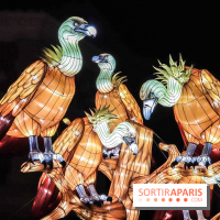 Festival de Lumières au Jardin des Plantes : Espèces en voie d’illumination