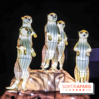 Festival de Lumières au Jardin des Plantes : Espèces en voie d’illumination