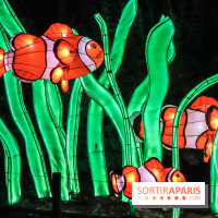 Festival de Lumières au Jardin des Plantes : Espèces en voie d’illumination poisson