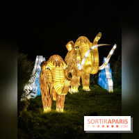 Festival de Lumières au Jardin des Plantes : Espèces en voie d’illumination