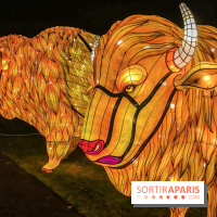 Festival de Lumières au Jardin des Plantes : Espèces en voie d’illumination