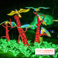 Festival de Lumières au Jardin des Plantes : Espèces en voie d’illumination