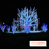 Festival de Lumières au Jardin des Plantes : Espèces en voie d’illumination