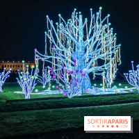 Festival de Lumières au Jardin des Plantes : Espèces en voie d’illumination