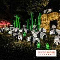 Festival de Lumières au Jardin des Plantes : Espèces en voie d’illumination