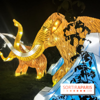 Festival de Lumières au Jardin des Plantes : Espèces en voie d’illumination