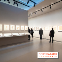 Rodin, dessiner, découper au musée Rodin