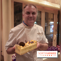 Noura, Bûche et coffret de Noël 2018