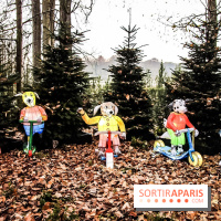 Noël au Château de Vaux le Vicomte 2018