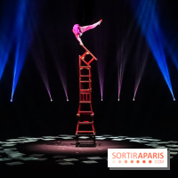 Le Roi des Singes au Cirque Phénix