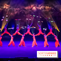 Le Roi des Singes au Cirque Phénix