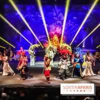 Le Roi des Singes au Cirque Phénix