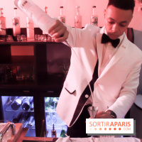 Le Vodkaviar Bar du Lutetia