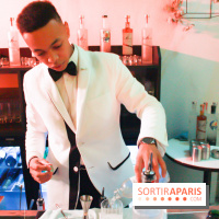 Le Vodkaviar Bar du Lutetia