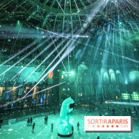 Le Grand Palais des Glaces 2018, les photos 