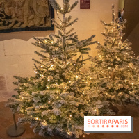 Noël 2018 au Château de Chambord