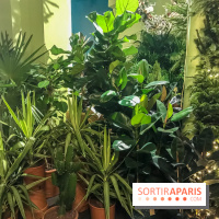 Bergamotte, le lieu de vie dédié au végétal