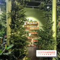 Bergamotte, le lieu de vie dédié au végétal