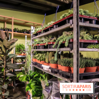 Bergamotte, le lieu de vie dédié au végétal