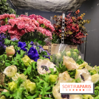 Bergamotte, le lieu de vie dédié au végétal