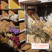 Bergamotte, le lieu de vie dédié au végétal