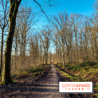 visuel île de france - balade forêt - nature