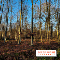 visuel île de france - balade forêt - nature