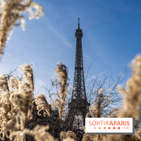 visuel Paris visuel  -  A7C2038