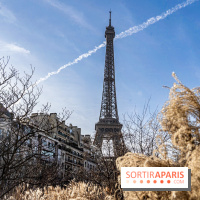 visuel Paris visuel  -  A7C2025