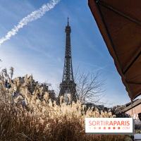 visuel Paris visuel  -  A7C2031