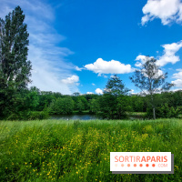 visuel Paris - île de France - nature - forêt