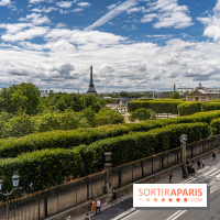 visuel Paris visuel  -  Rue de Rivoli - jardin des Tuileries 