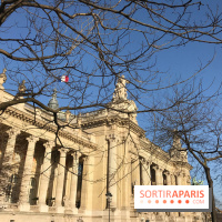 Visuel Paris Grand Palais