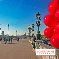 Visuel Paris Pont Alexamdre III