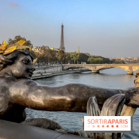 Visuel Paris Pont Alexamdre III